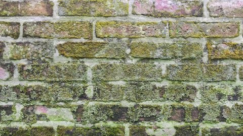 cursus image 2360